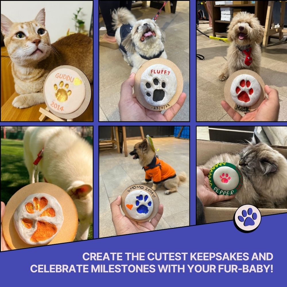 DIY Paw Printing Kit