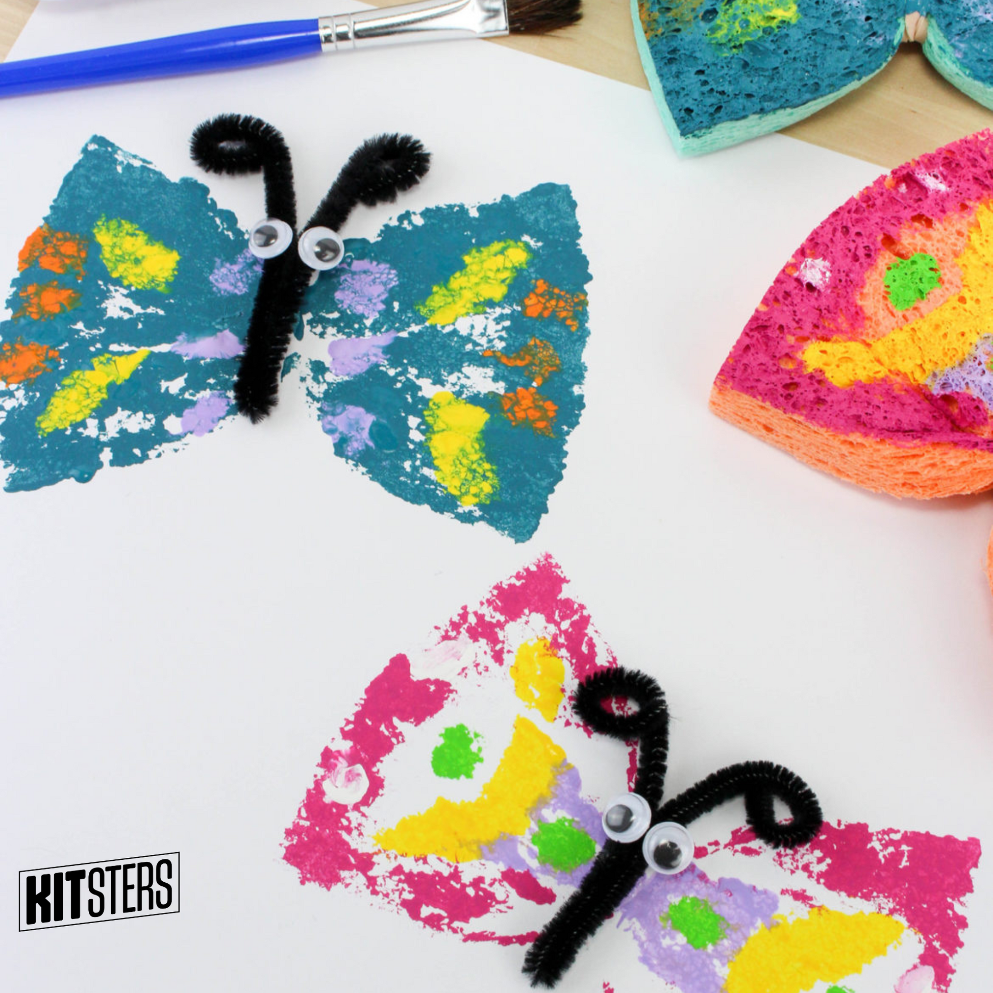 DIY Butterfly Sponge Art Kit