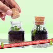 DIY Mini Terrarium Kit