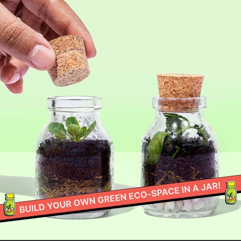DIY Mini Terrarium Kit