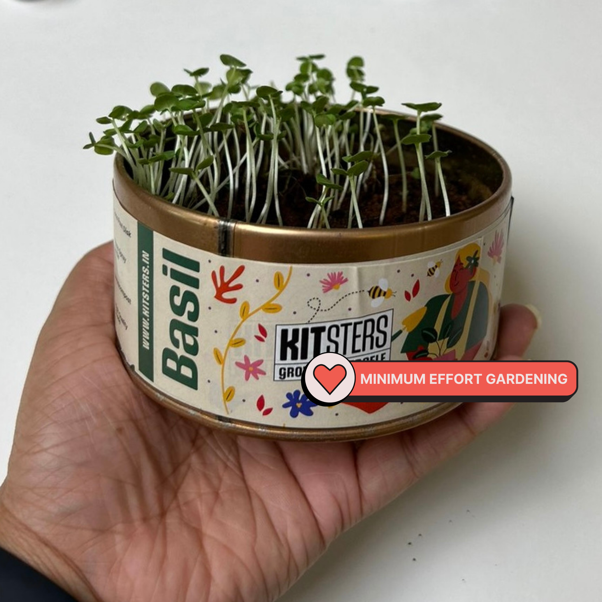 Grow in a Can - Pack of 4 (Basil, Cilantro, Fenugreek, Oregano)