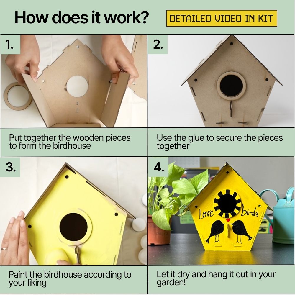 DIY Bird House Kit