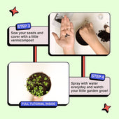 Grow in a Can - Fenugreek