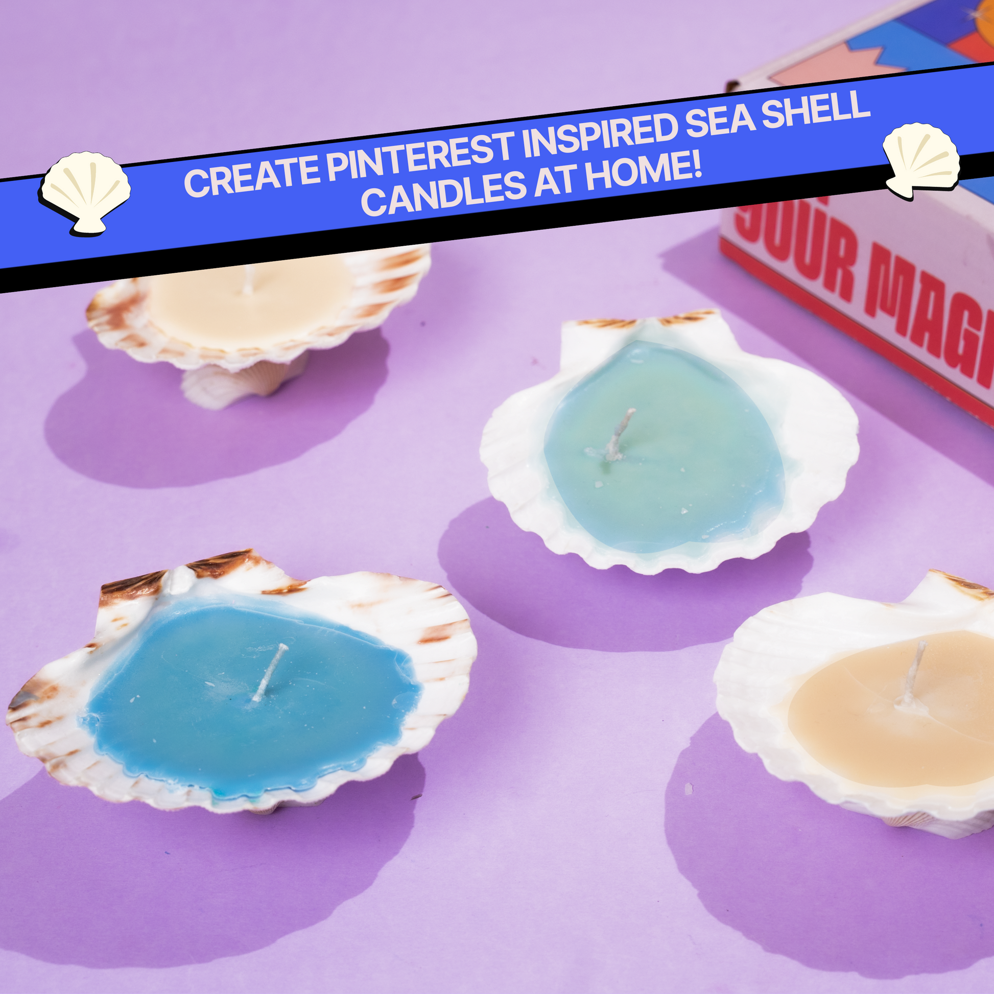 COMBO : DIY Shell Candle Kit & DIY Decoupage Shells Kit