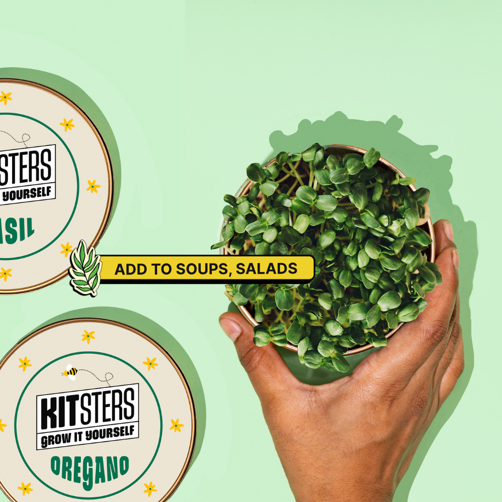 Grow in a Can - Pack of 4 (Basil, Cilantro, Fenugreek, Oregano)