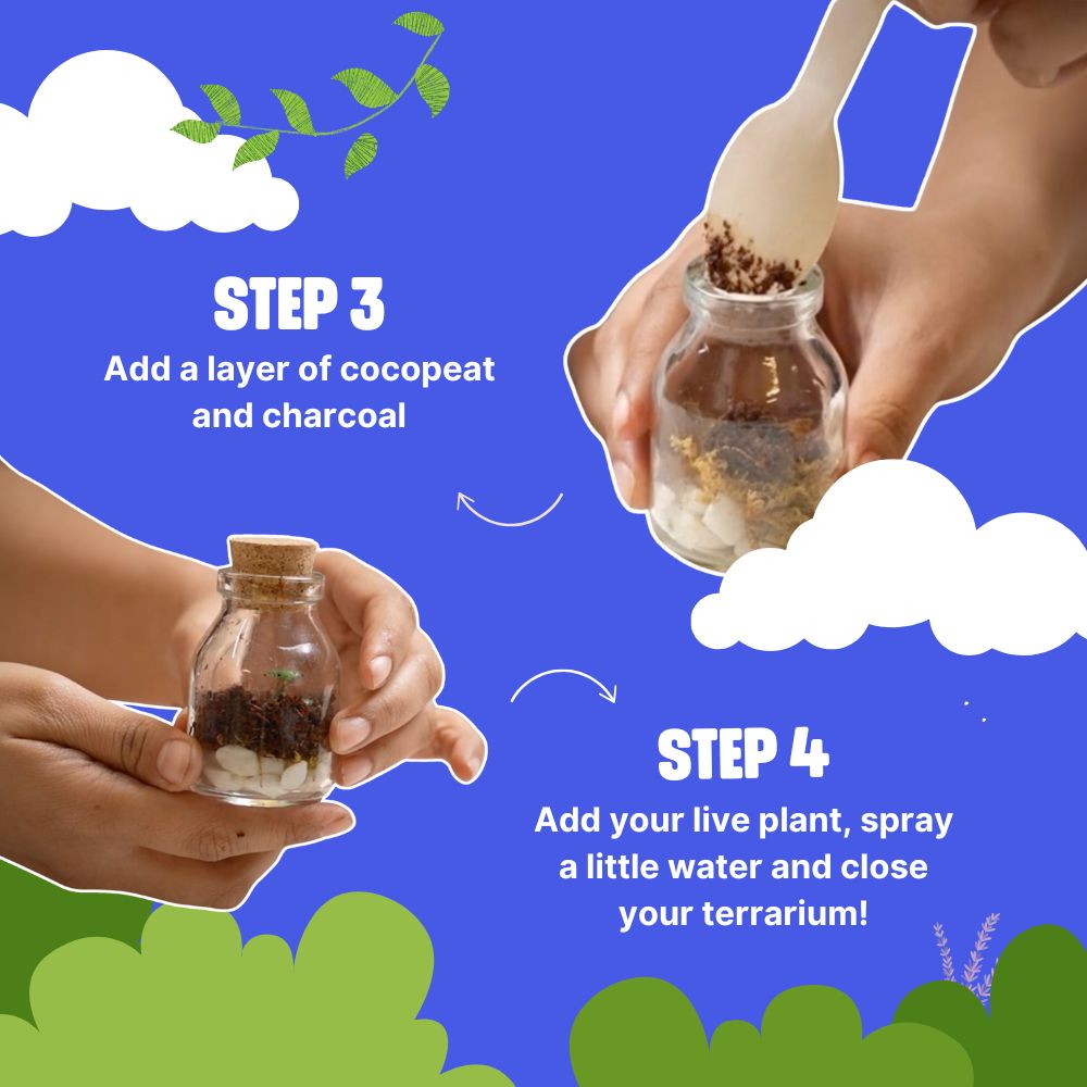 DIY Mini Terrarium Kit