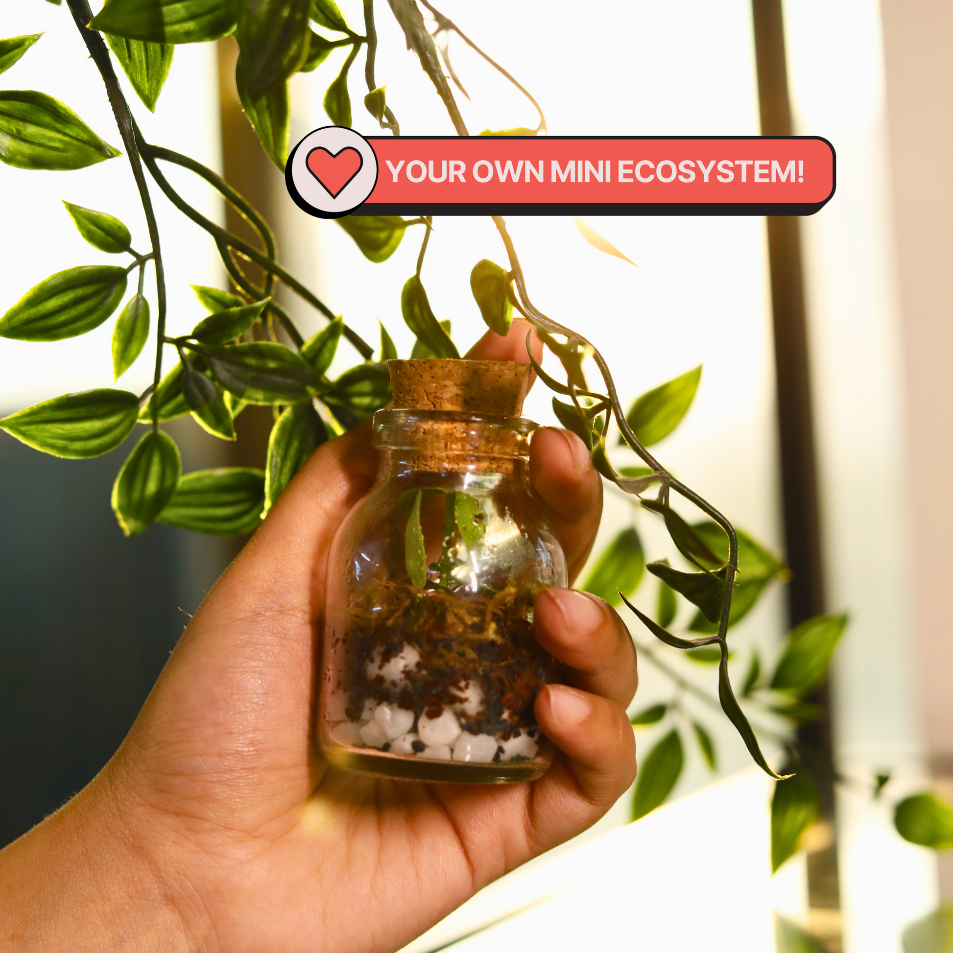 COMBO : DIY Mini Terrarium Kit & DIY Japanese Kokedama Kit