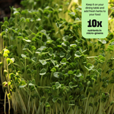 DIY Microgreens Kit
