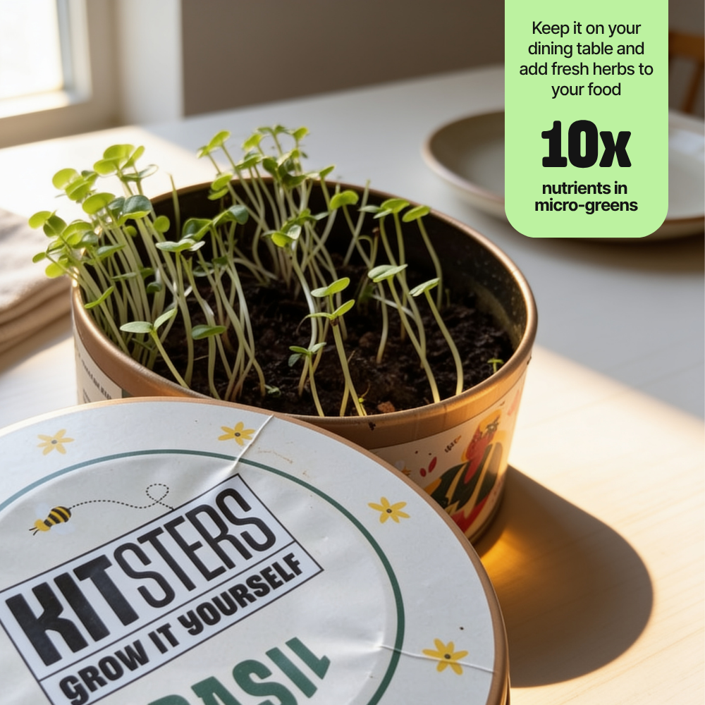Grow in a Can - Pack of 4 (Basil, Cilantro, Fenugreek, Oregano)