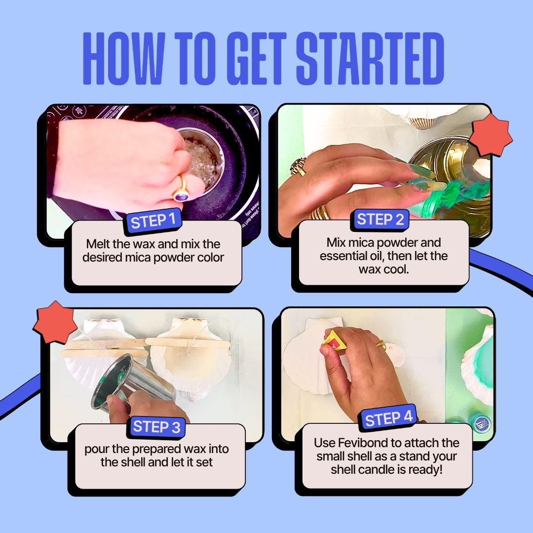 COMBO : DIY Shell Candle Kit & DIY Decoupage Shells Kit