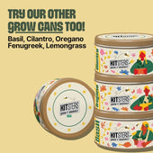 Grow in a Can - Oregano