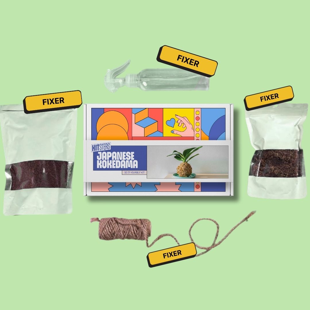 COMBO : DIY Mini Terrarium Kit & DIY Japanese Kokedama Kit