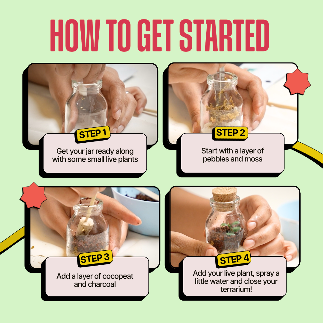 COMBO : DIY Mini Terrarium Kit & DIY Japanese Kokedama Kit