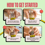 COMBO : DIY Mini Terrarium Kit & DIY Japanese Kokedama Kit