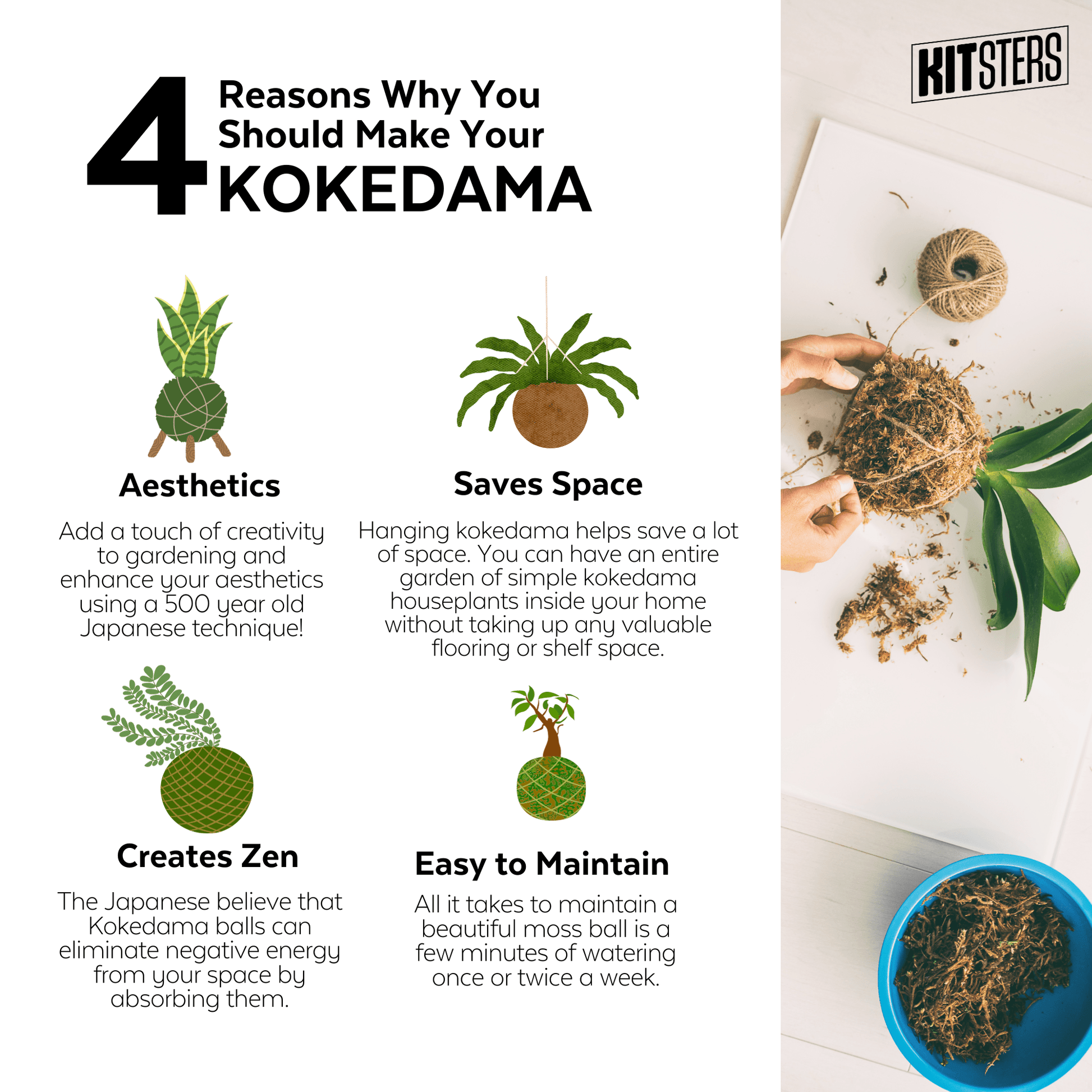 HOW TO: make a Kokedama
