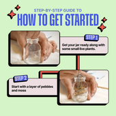 DIY Mini Terrarium Kit