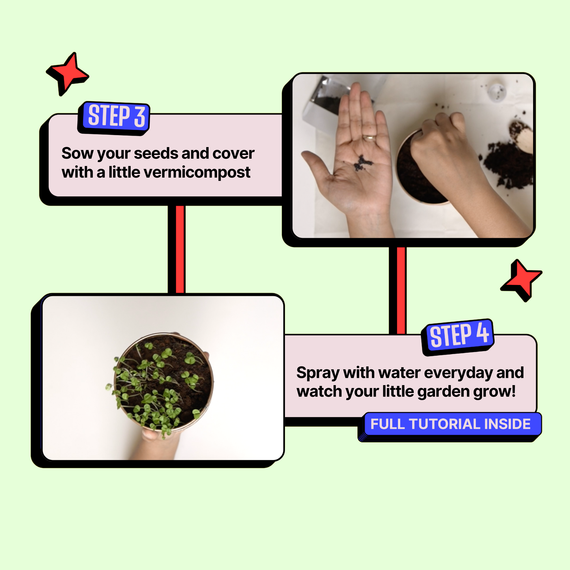 Grow in a Can - Cilantro