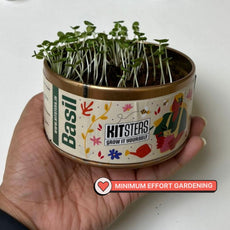 Grow in a Can - Oregano