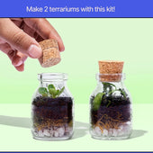 DIY Mini Terrarium Kit