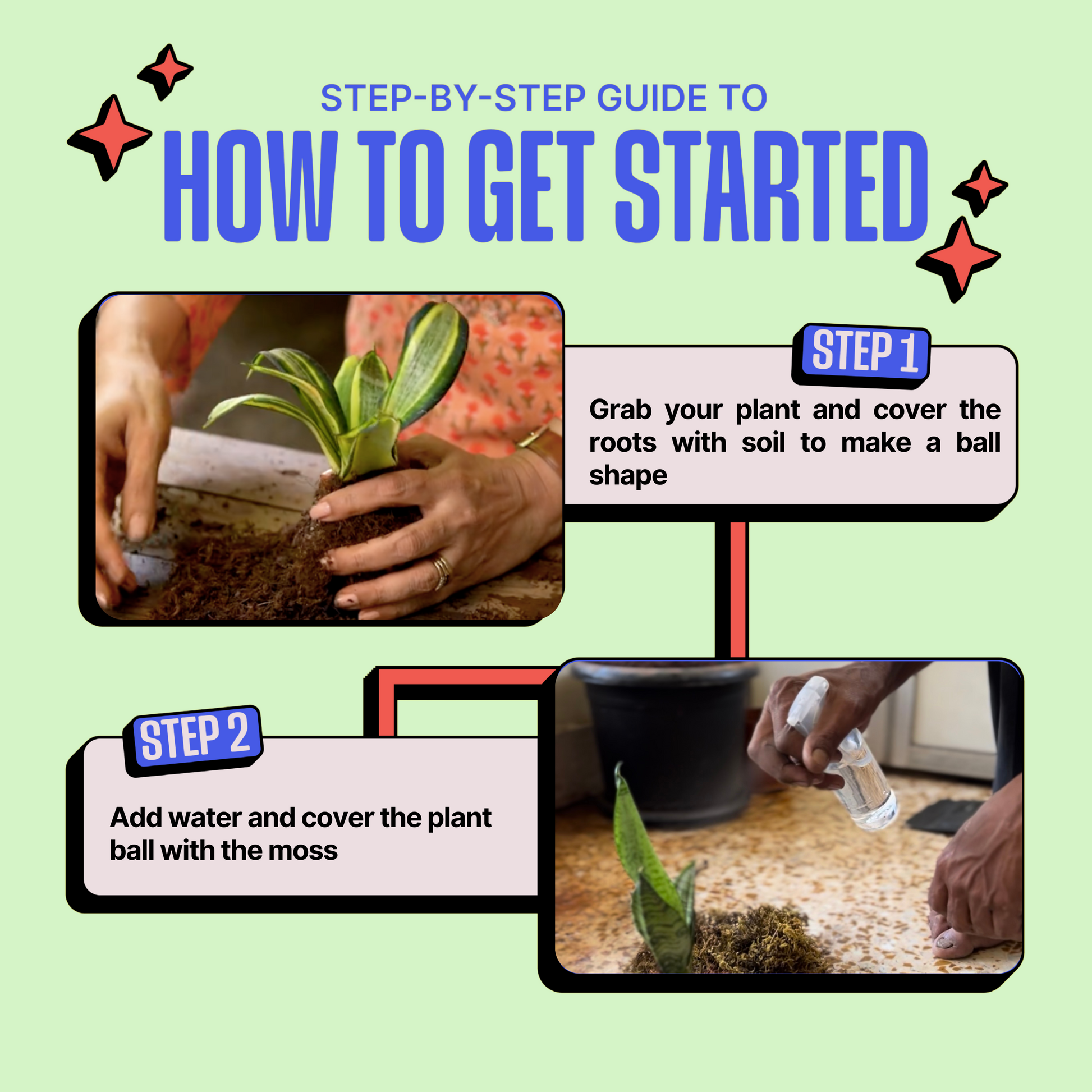 DIY Japanese Kokedama Kit