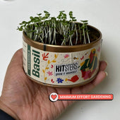 Grow in a Can - Basil