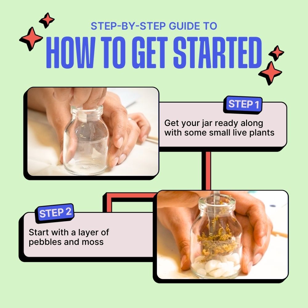 DIY Mini Terrarium Kit