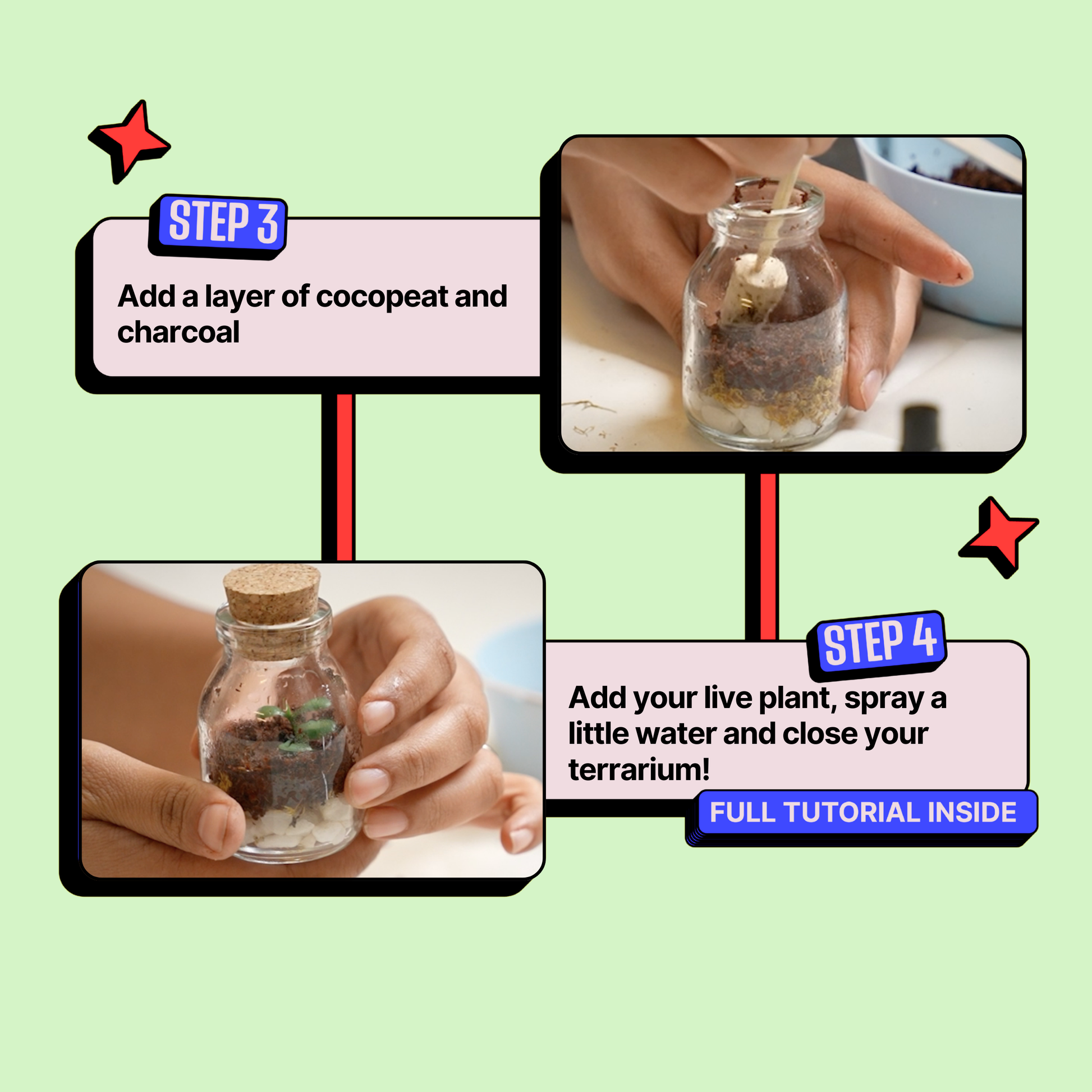 DIY Mini Terrarium Kit