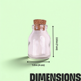 DIY Mini Terrarium Kit