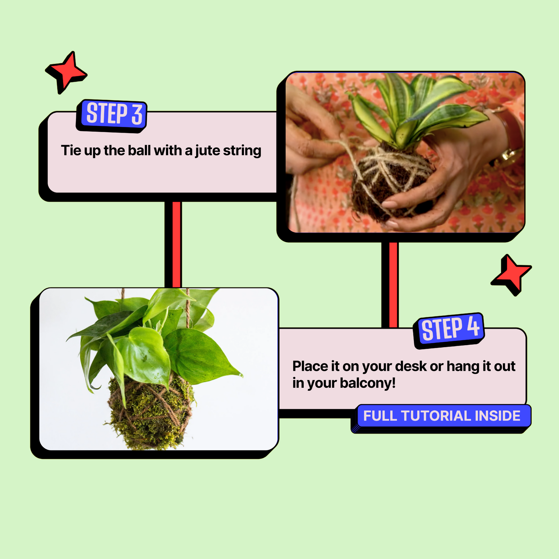 DIY Japanese Kokedama Kit