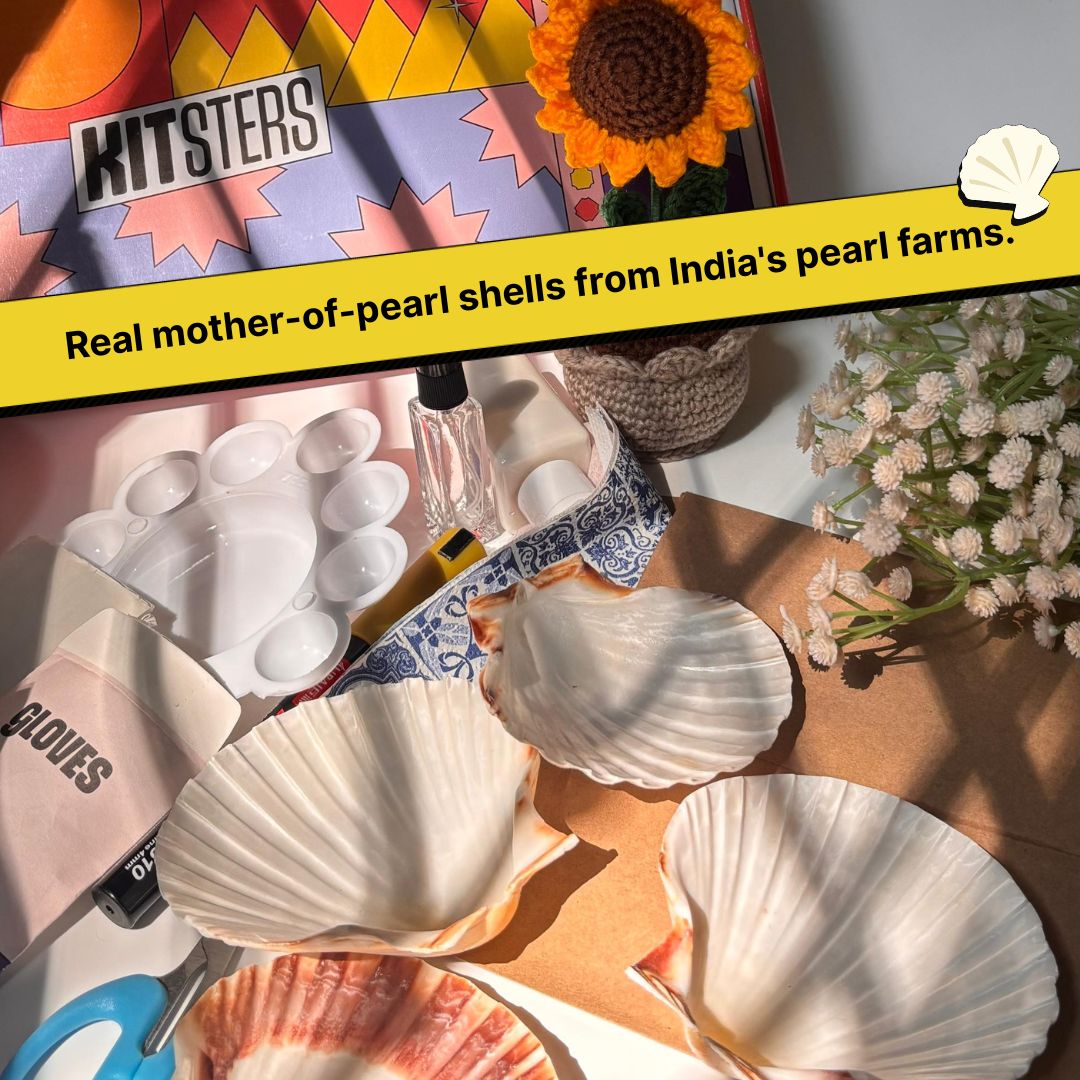 COMBO : DIY Shell Candle Kit & DIY Decoupage Shells Kit