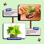 DIY Japanese Kokedama Kit