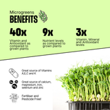 DIY Microgreens Kit