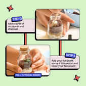 DIY Mini Terrarium Kit