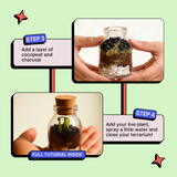 DIY Mini Terrarium Kit