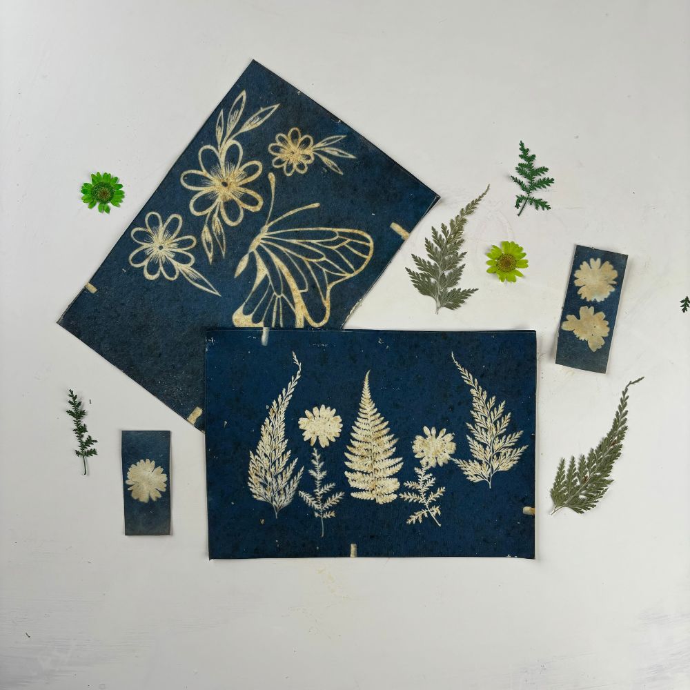 Create cyanotype solar prints. DIY solar printing kit, diy cyanotype kit, beginner diy kit, diy kits for adults, stem kits, STEAM diy kits, chemistry kit