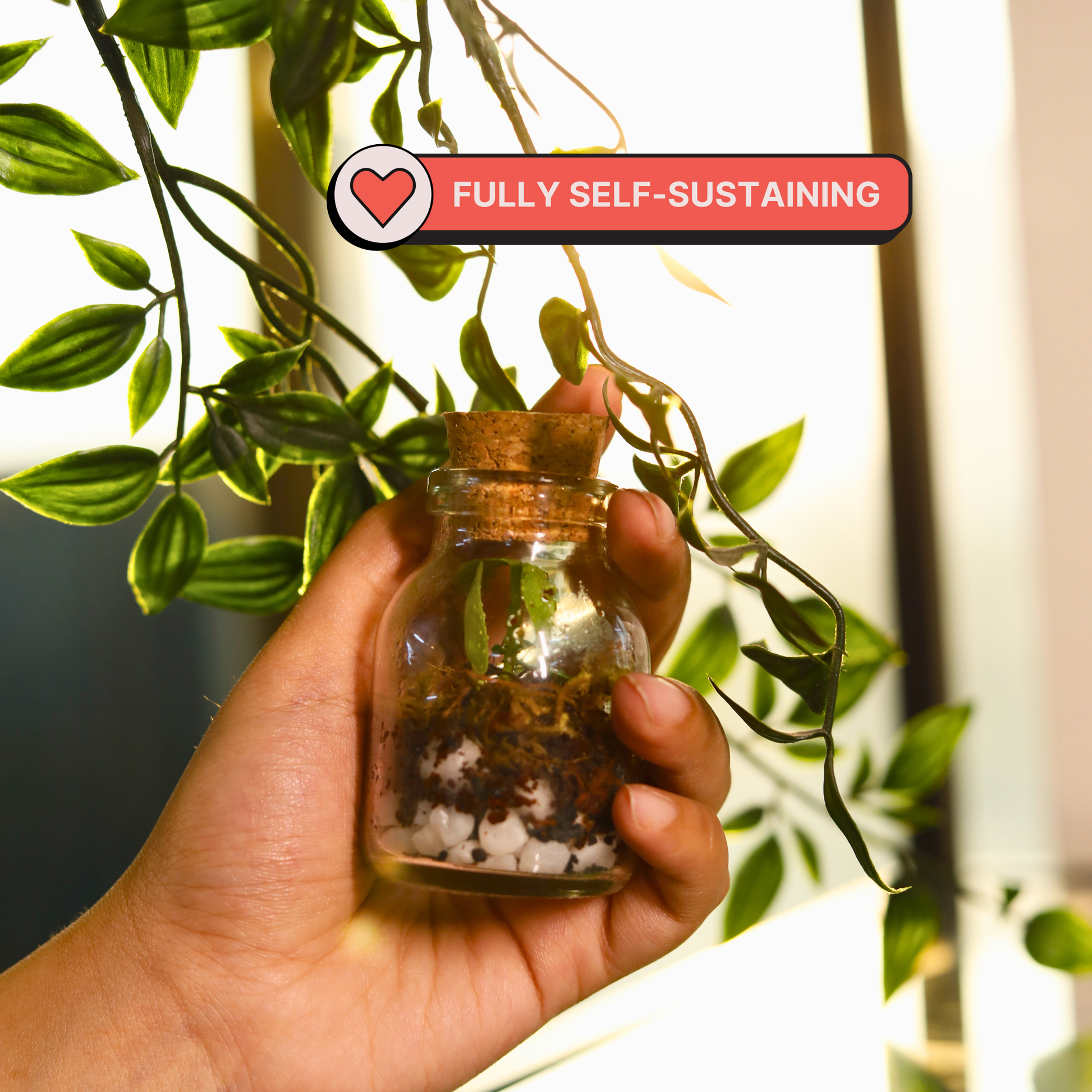 DIY Mini Terrarium Kit