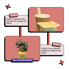 DIY Cement Planter Kit