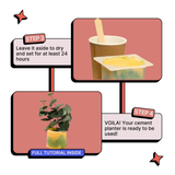 DIY Cement Planter Kit