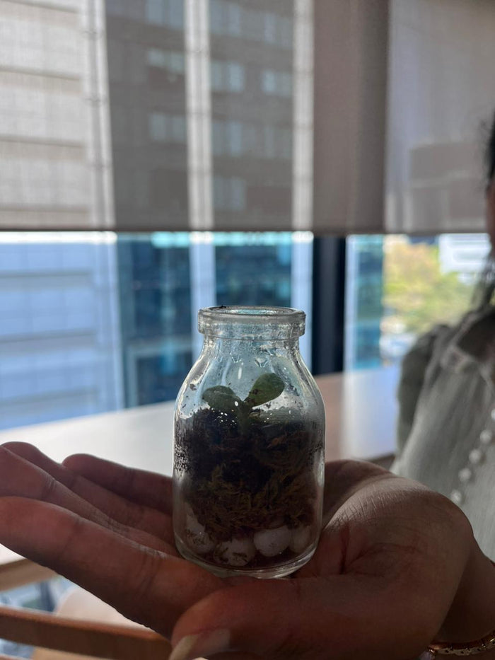 DIY Mini Terrarium Kit — made by a Kitsters maker