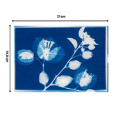 Create cyanotype solar prints. DIY solar printing kit, diy cyanotype kit, beginner diy kit, diy kits for adults, stem kits, STEAM diy kits, chemistry kit