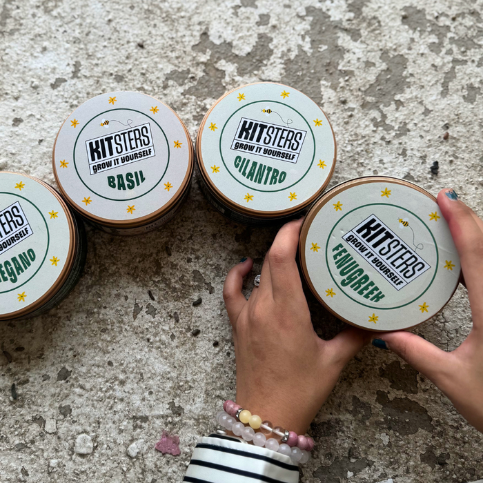 Grow in a Can - Pack of 4 (Basil, Cilantro, Fenugreek, Oregano) — made by a Kitsters maker