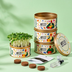Grow in a Can - Pack of 4 (Basil, Cilantro, Fenugreek, Oregano)