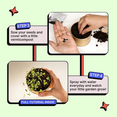 Grow in a Can - Basil