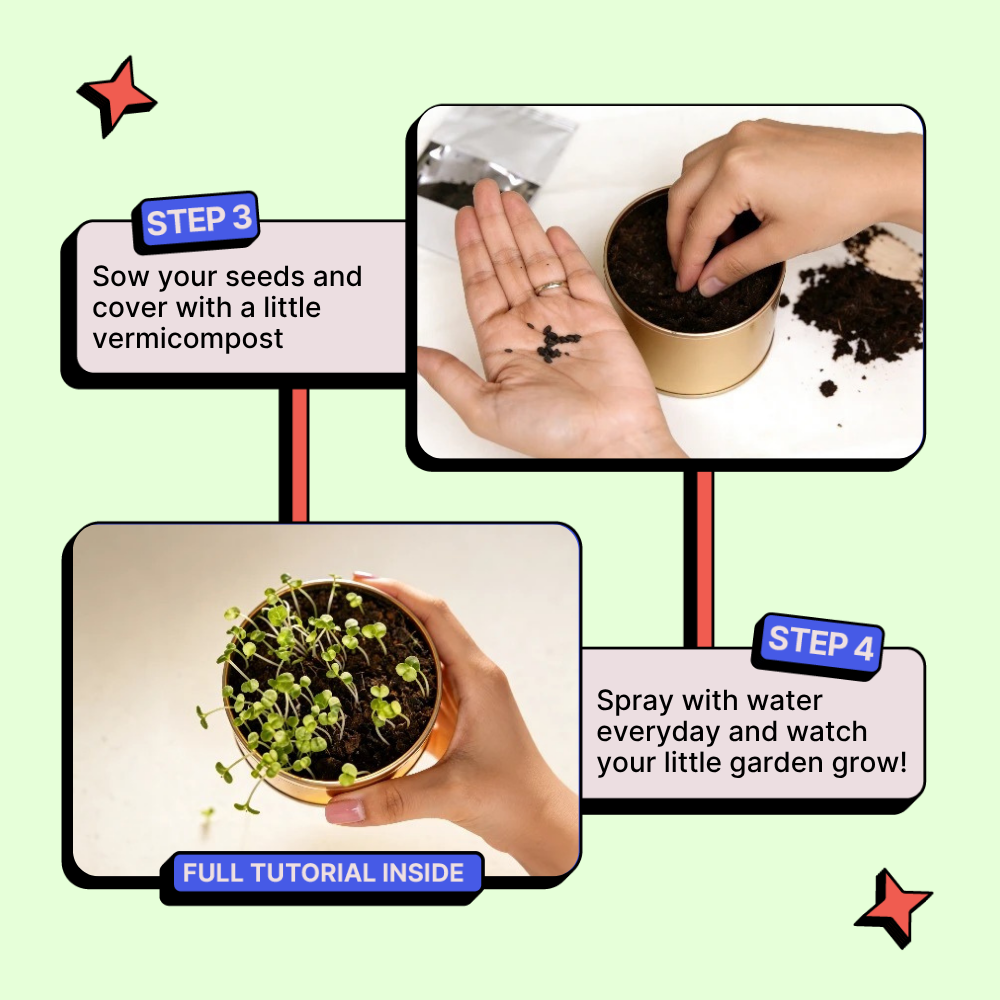 Grow in a Can - Fenugreek