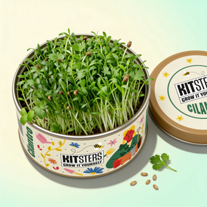Grow in a Can - Cilantro