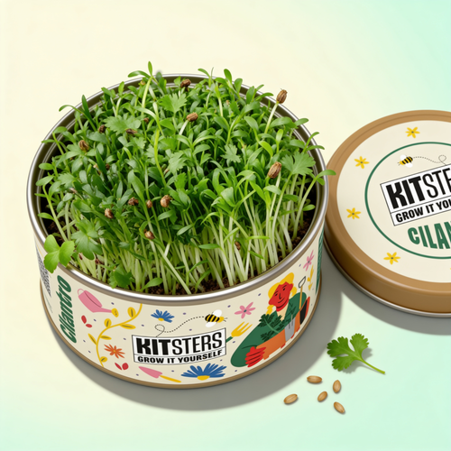 Grow in a Can - Cilantro