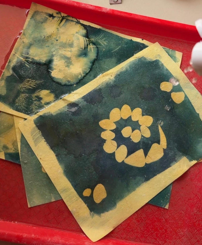 DIY Solar Printing Kit — made by a Kitsters maker