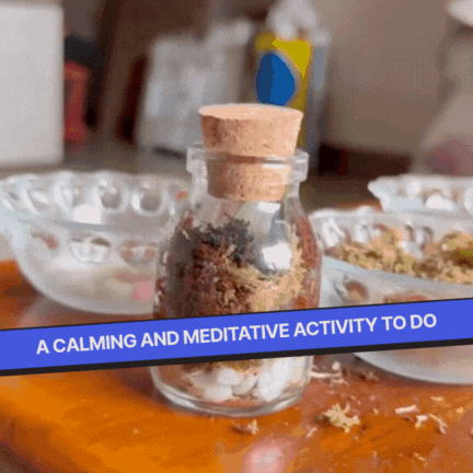 DIY Mini Terrarium Kit