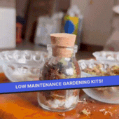 COMBO : DIY Mini Terrarium Kit & DIY Japanese Kokedama Kit