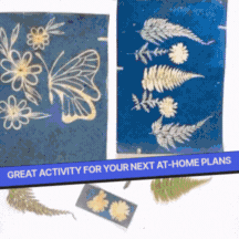 COMBO : DIY Handmade Paper Kit & DIY Solar Printing Kit